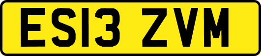 ES13ZVM
