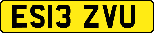 ES13ZVU