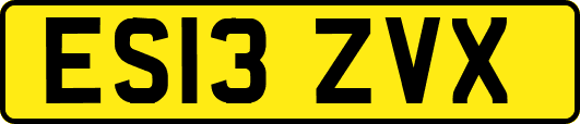 ES13ZVX