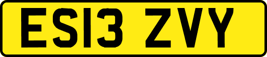 ES13ZVY
