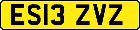 ES13ZVZ