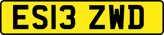 ES13ZWD
