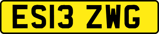 ES13ZWG