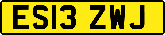 ES13ZWJ