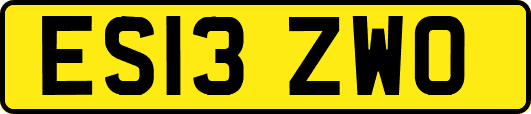 ES13ZWO