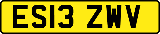 ES13ZWV