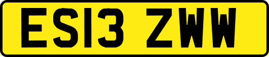 ES13ZWW