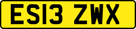 ES13ZWX