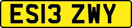 ES13ZWY