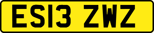ES13ZWZ