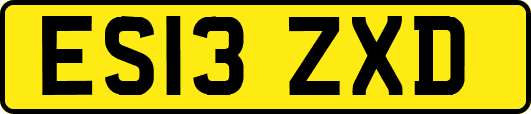 ES13ZXD