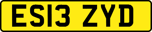 ES13ZYD
