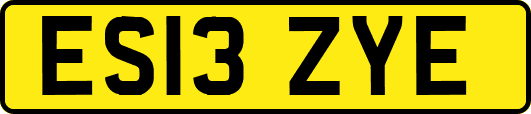 ES13ZYE