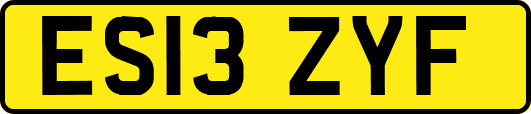 ES13ZYF