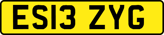 ES13ZYG