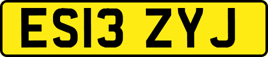 ES13ZYJ