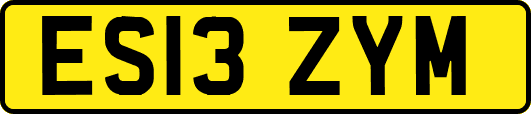 ES13ZYM