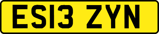 ES13ZYN