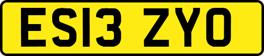ES13ZYO