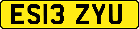 ES13ZYU