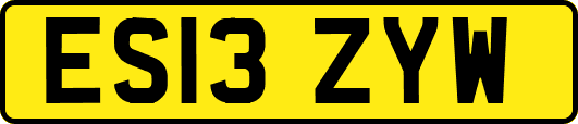 ES13ZYW