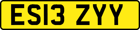 ES13ZYY