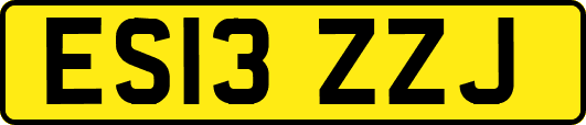 ES13ZZJ
