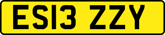 ES13ZZY