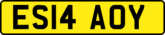 ES14AOY