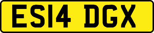 ES14DGX
