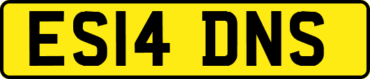 ES14DNS