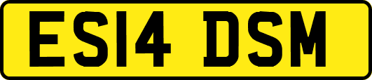 ES14DSM