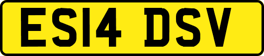 ES14DSV