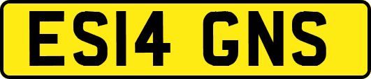 ES14GNS