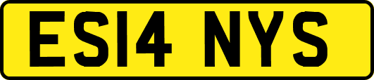 ES14NYS