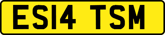 ES14TSM