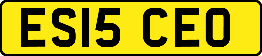 ES15CEO