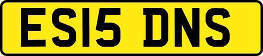 ES15DNS