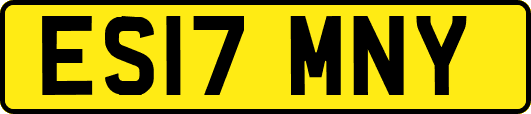 ES17MNY