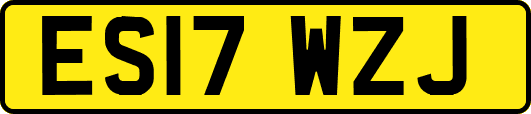 ES17WZJ