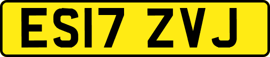 ES17ZVJ