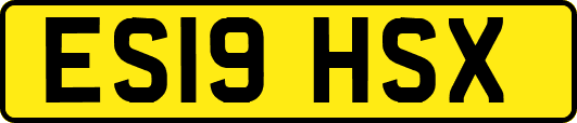 ES19HSX