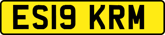 ES19KRM