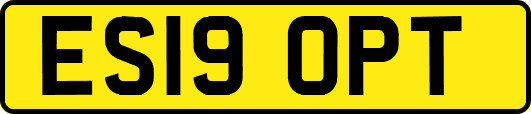 ES19OPT