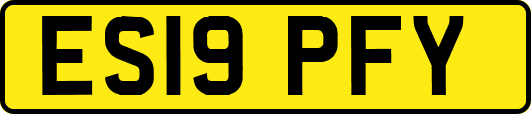 ES19PFY