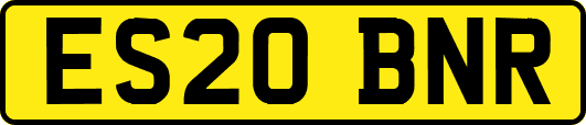 ES20BNR