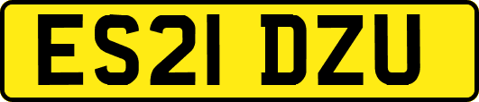 ES21DZU