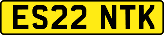 ES22NTK