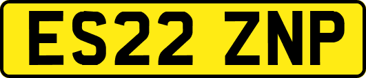 ES22ZNP