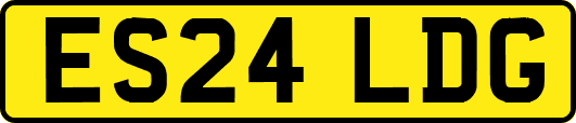 ES24LDG
